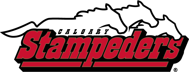 calgary stampeders 2000-2011 wordmark logo v2 iron on transfers for T-shirts